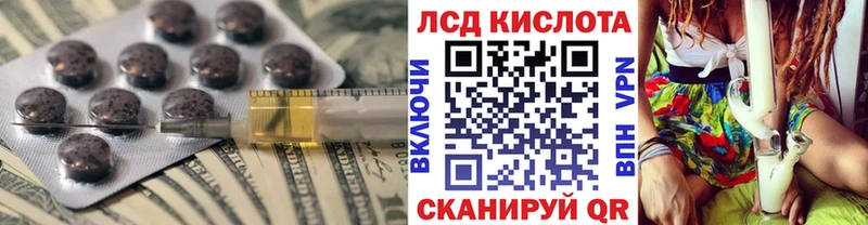 Купить закладки  Новоржев  Лсд 25 экстази кислота 