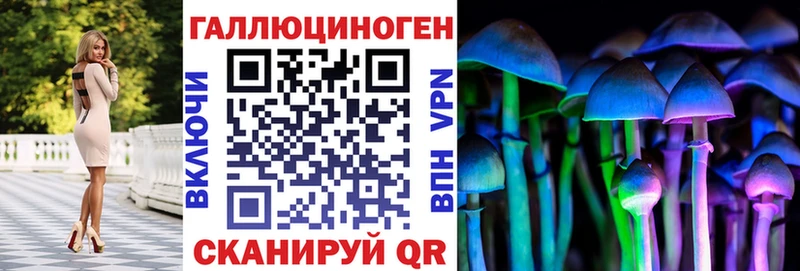 Галлюциногенные грибы Psilocybe Новоржев