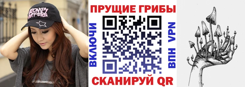 Купить  Новоржев  Псилоцибиновые грибы Psilocybine cubensis 