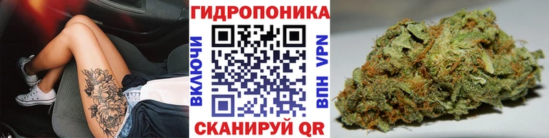 Купить  Новоржев  Каннабис семена 
